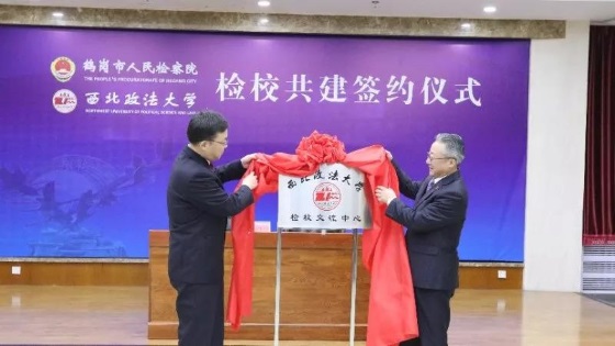 1546171185140365.jpg 6.jpg